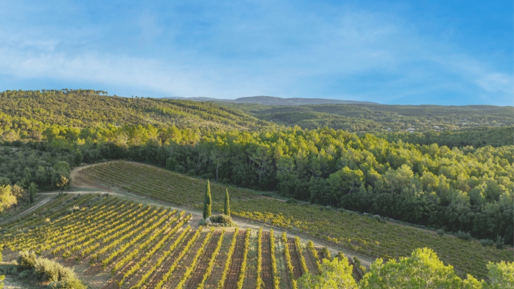 Clos de Caille drône