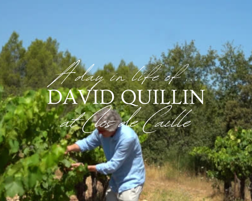 Interview David Quillin