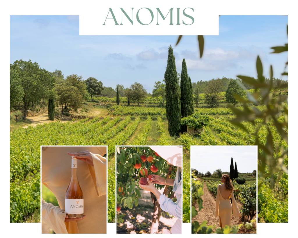 Anomis Clos de Caille