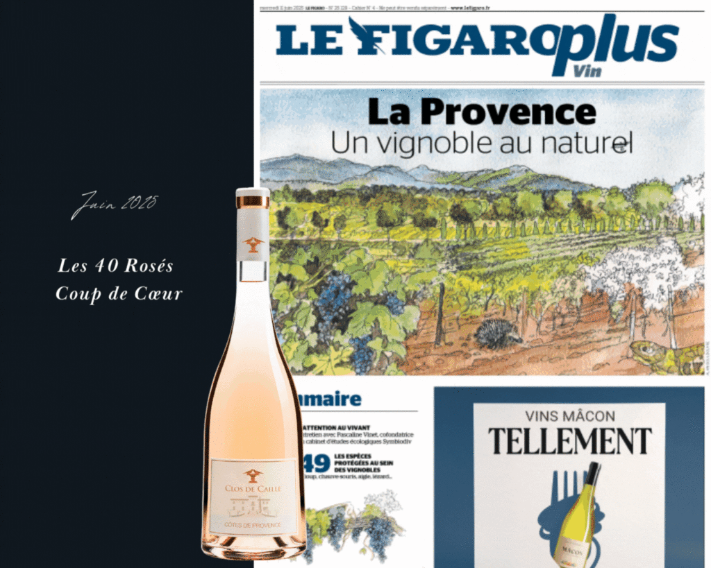 Parutions presse été 2025