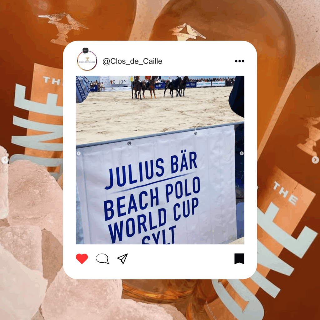 Beach Polo World Cup