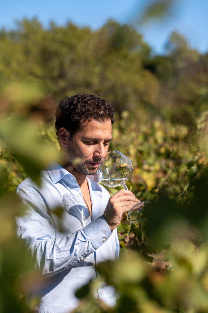 Mathieu Mariotti Manager