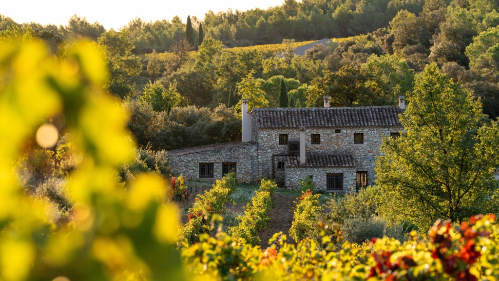 Domaine viticole en Provence