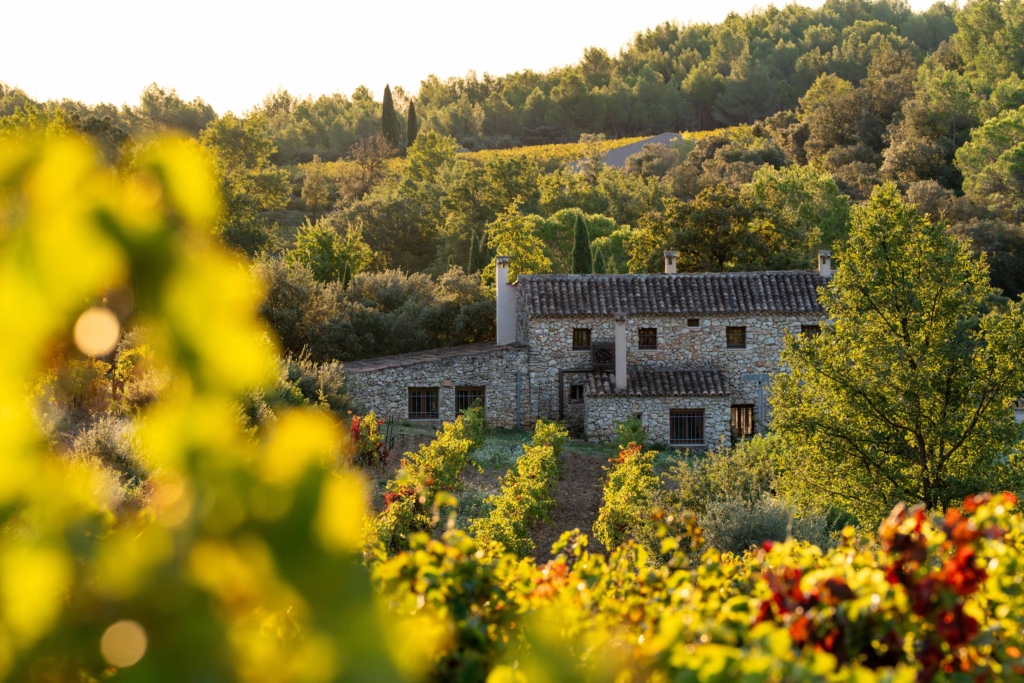 Domaine viticole en Provence