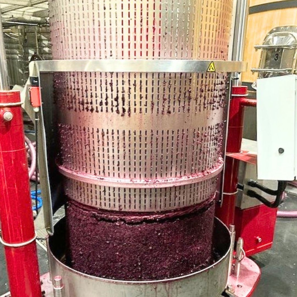 Vinification Clos de Caille