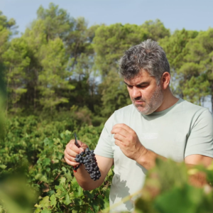 Clos de Caille - Lifestyle - Matthieu Cosse - Carré