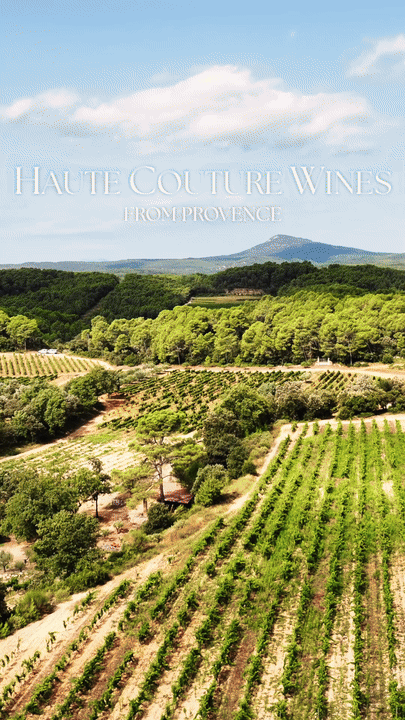 REELS vignoble - article de blog