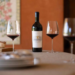 SAMPI_CLOS DE CAILLE_PRESS IG (1)