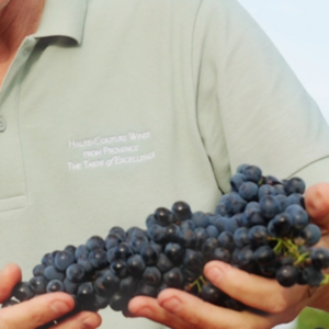 SAMPI_CLOS DE CAILLE_PRESS IG