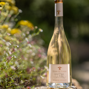 SAMPI_CLOS DE CAILLE_PRESS IG