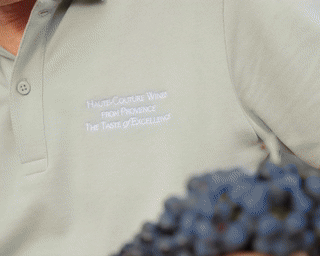 GIF DOMAINE POUR BLOG extract vidéo corpo