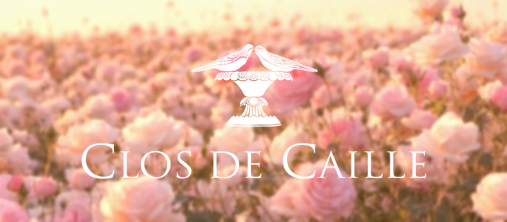 Bannière bloc logo Clos de Caille