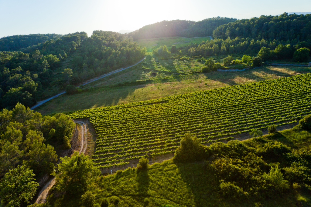 Aérienne-66