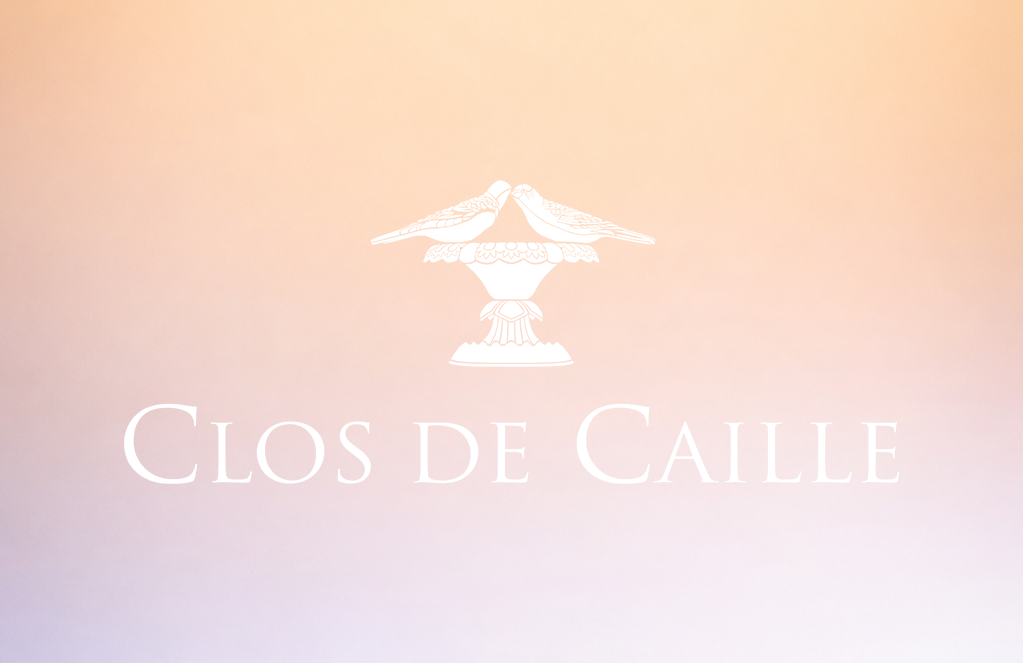 Header blog Anomis