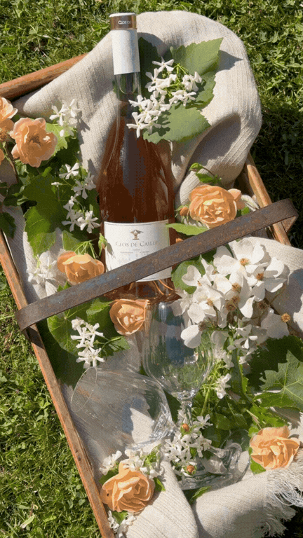 Copie de SAMPI_CLOS DE CAILLE_STORY_VJF (1)
