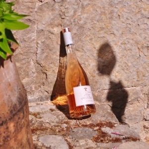 SAMPI_CLOS DE CAILLE_PRESS IG