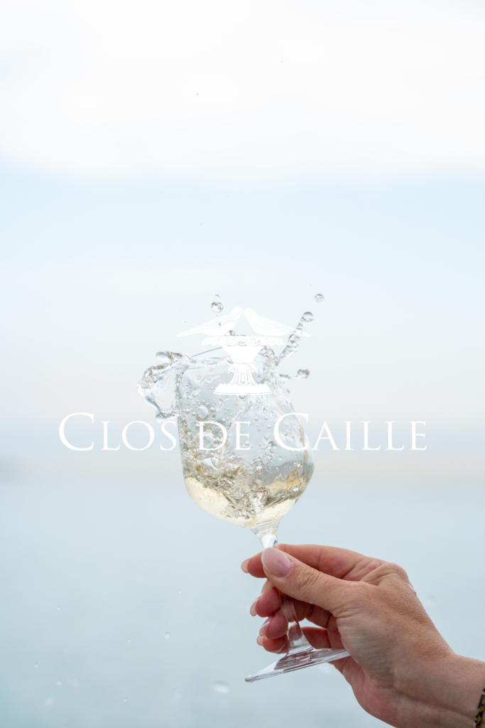 Header blog vin blanc Provence