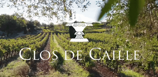 Header blog