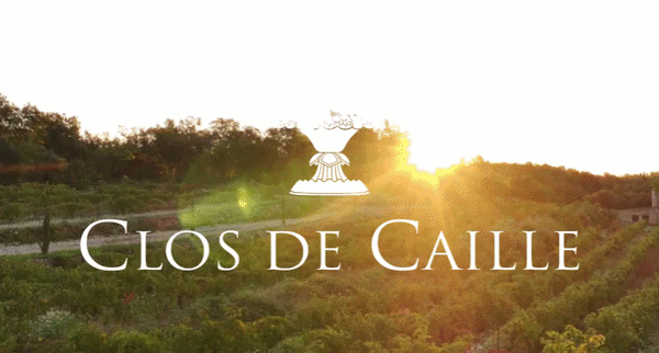 Blog vin header