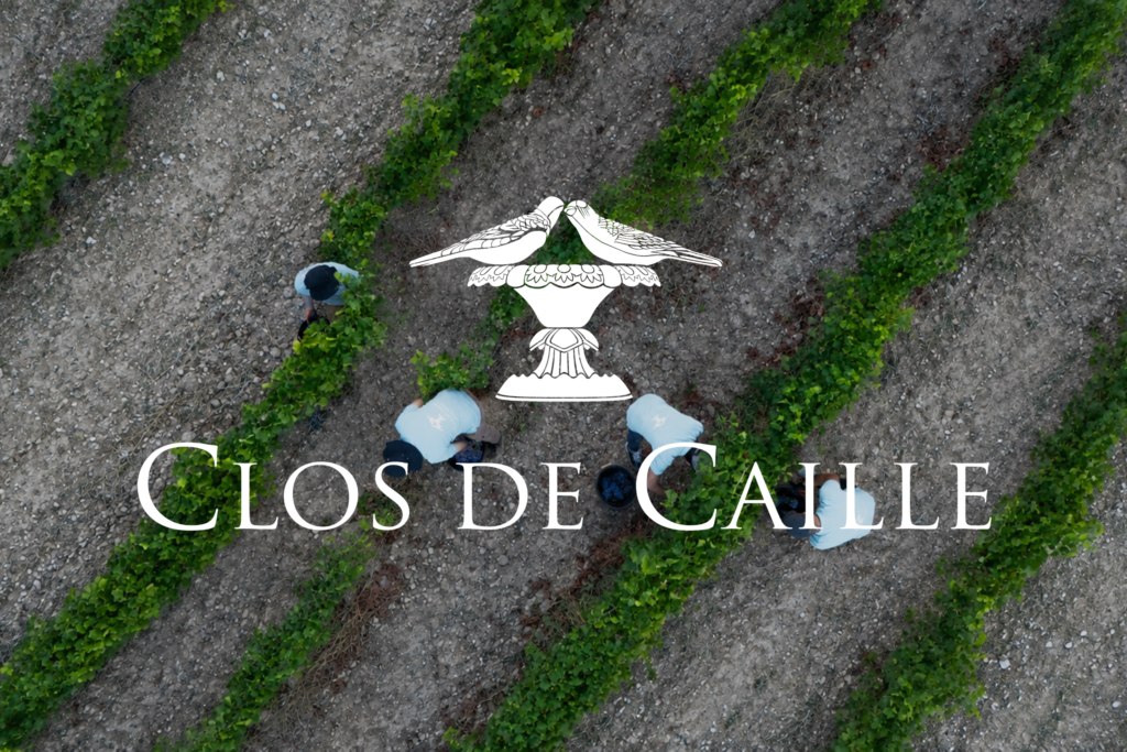 Header blog vin Provence