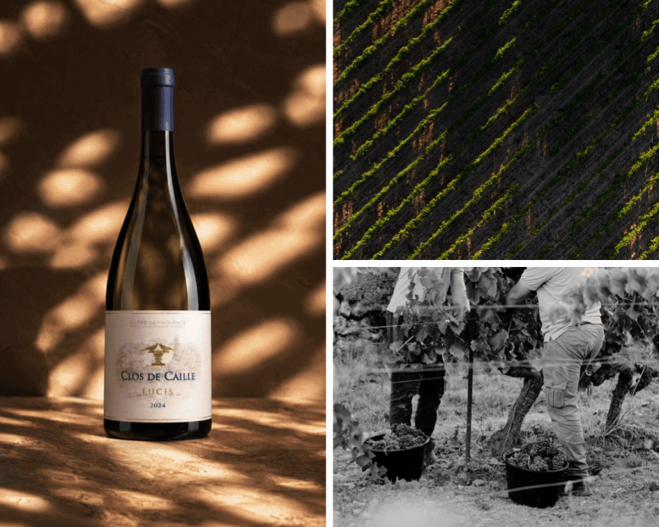 Vins de Provence