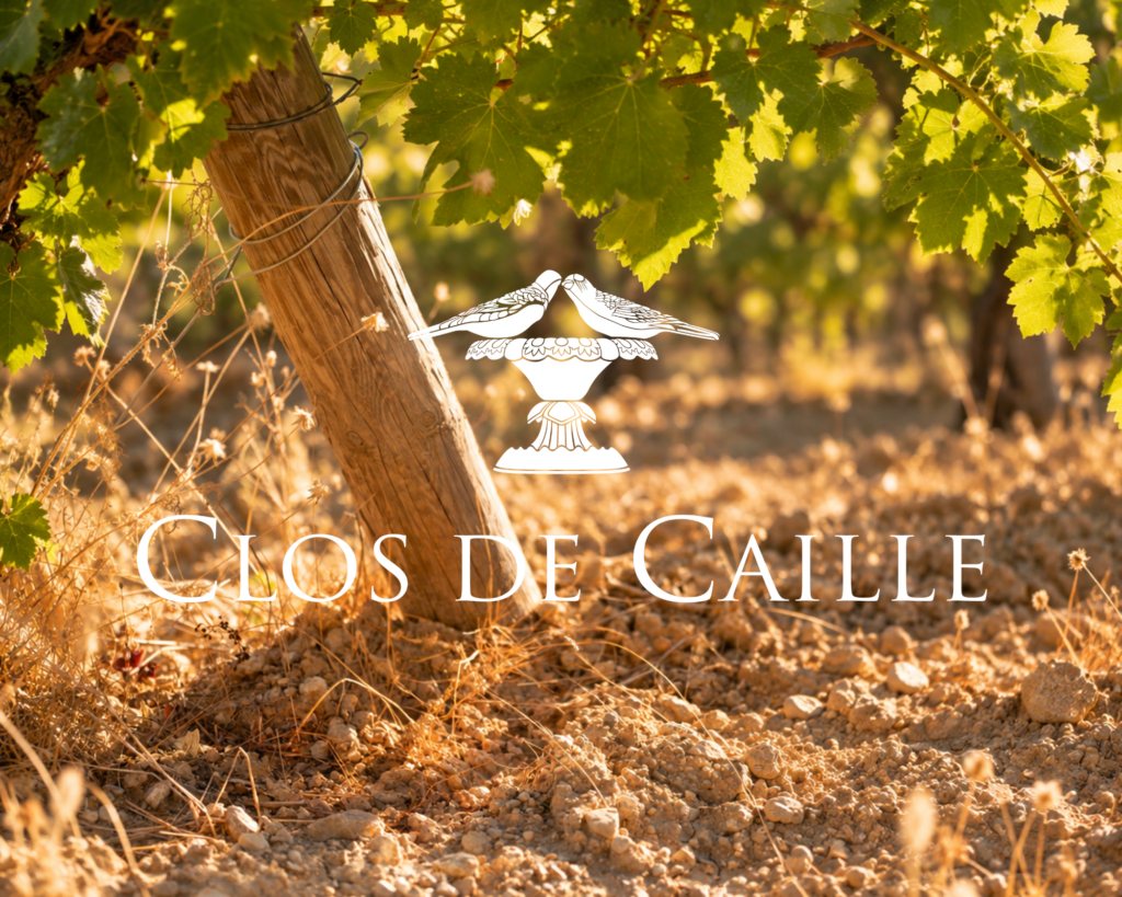 Header blog