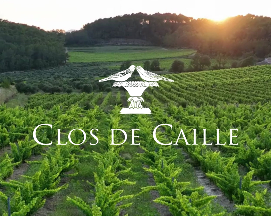 Header blog vin Provence